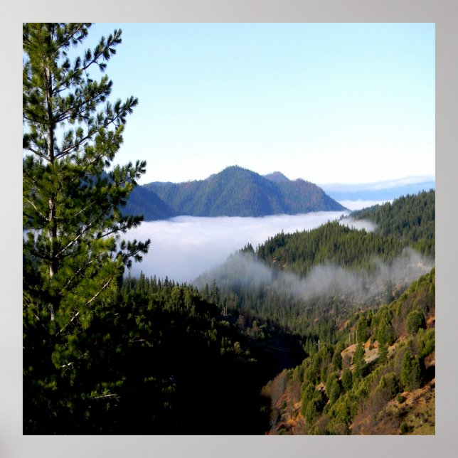 Poster Le brouillard matinal qui fait rage...... (Devant)