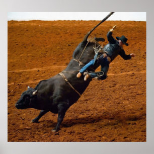 Poster Le Bull Rider