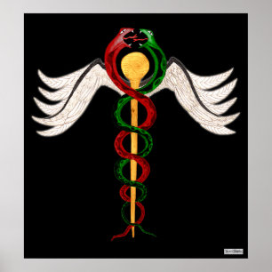 Poster Le caducée