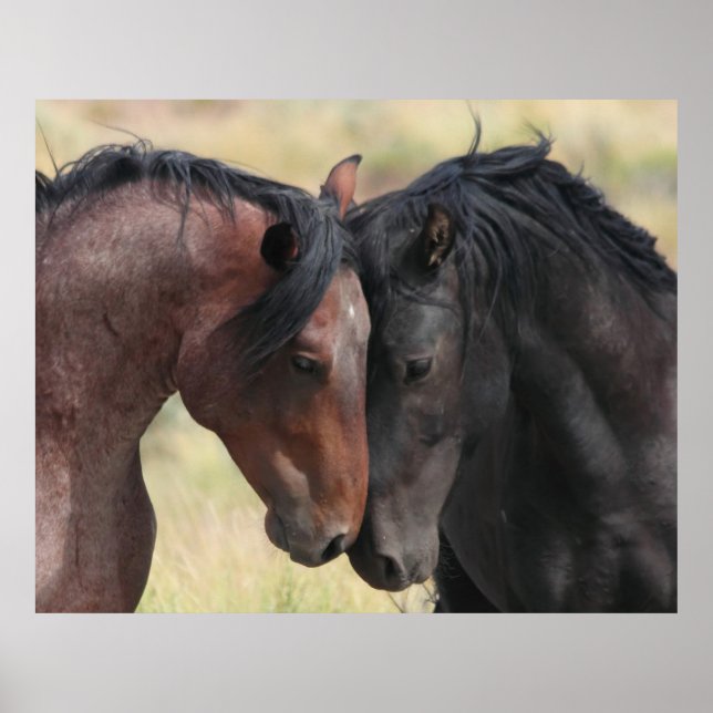 Poster Le Calme (Devant)