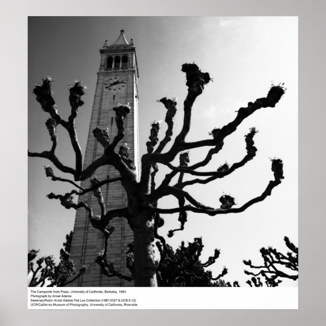 Poster Le Campanile de Plaza, UC Berkeley, 1964 (Devant)