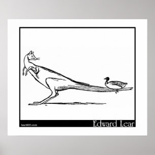 Poster Le canard et le kangourou