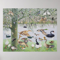 Le canard fou