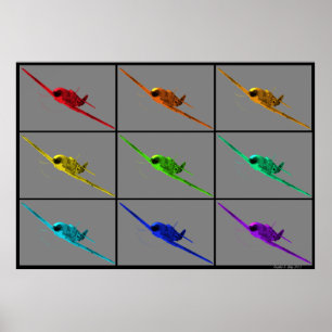 Poster Le cauchemar de Pokryshkin