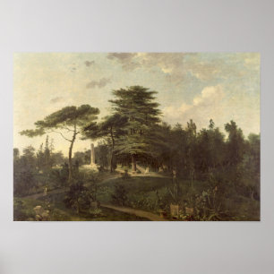 Poster Le Cèdre du Liban dans le Jardin des Plantes