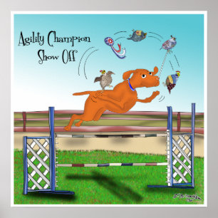 Poster Le champion d'agilité montrent