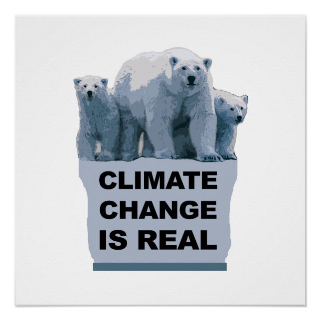 Poster Le changement climatique est réel (Devant)