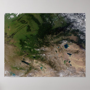 Poster Le changement de végétation