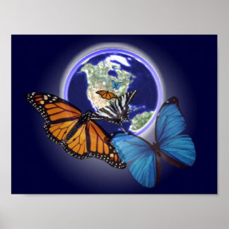 Poster Le chaos et le papillon