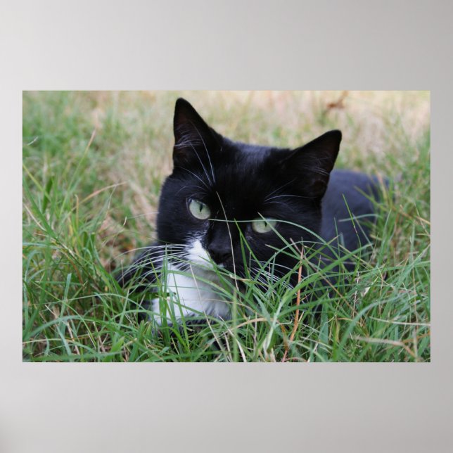 Poster Le chasseur au repos (Devant)