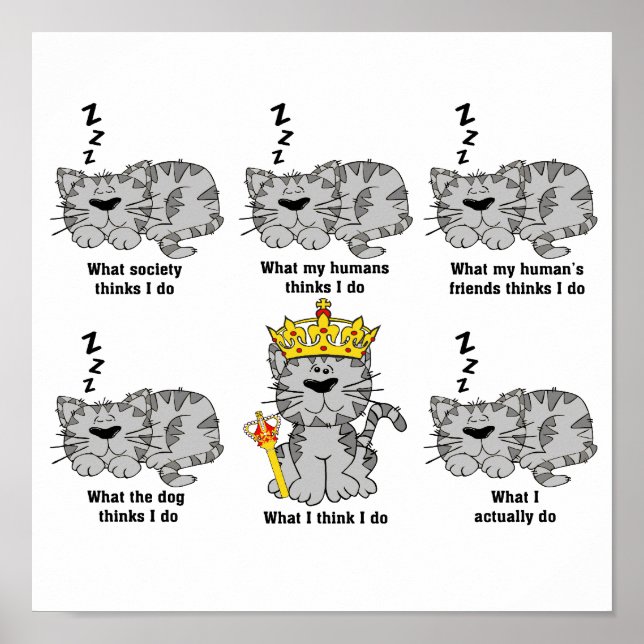 Poster Le chat (Devant)