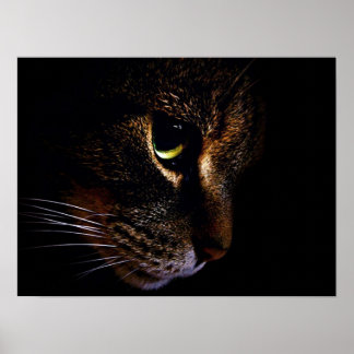 Poster Le chat