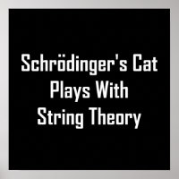 Le chat de Schrodinger joue avec la théorie des co