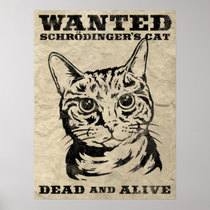 Poster Le chat de Schrodinger voulait mort ou vivant