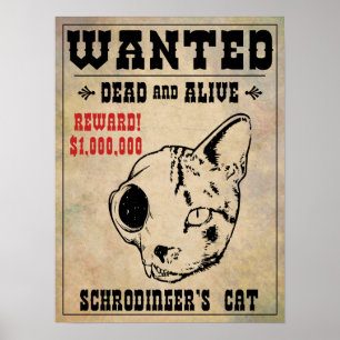 Poster Le chat II Recherché de Schrodinger