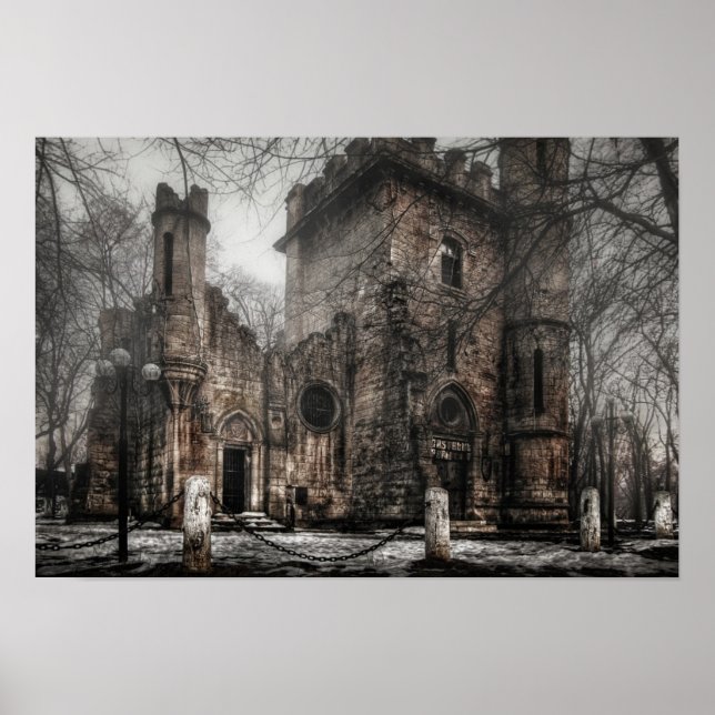 Poster Le château de Romanescu (Devant)