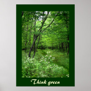 Poster Le chemin de région boisée pensent le vert