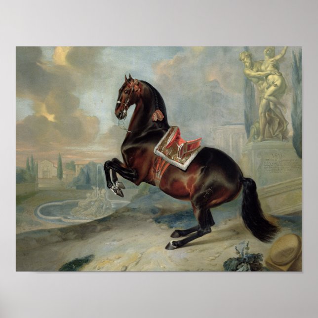 Poster Le cheval de la baie sombre "Valido" (Devant)