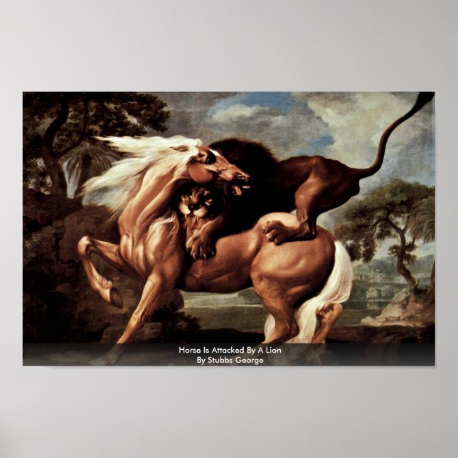 Poster Le Cheval Est Attaqué Par Un Lion Par Stubbs Georg (Devant)