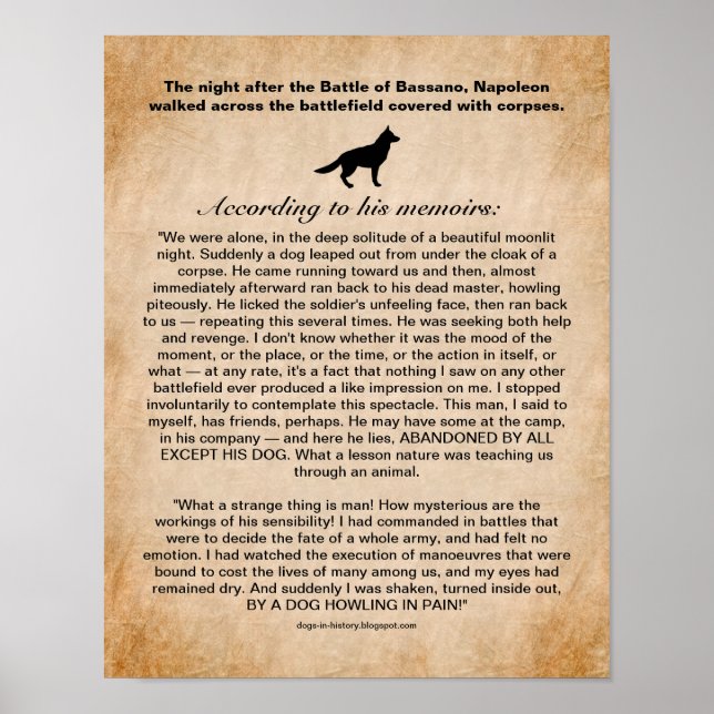 Poster Le chien inspire Napoléon après la bataille de Bas (Devant)