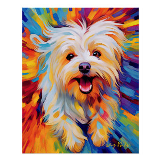 Poster Le Chien Maltais 004 - Zetton Ziana