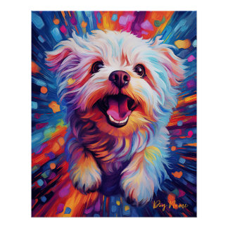 Poster Le Chien Maltais 005 - Zetton Ziana