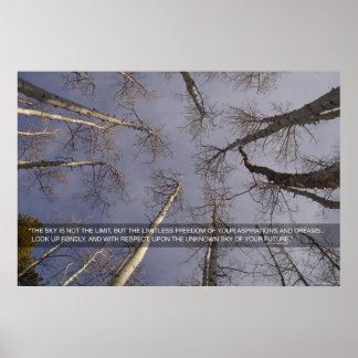 Poster Le ciel n'est pas la limite...