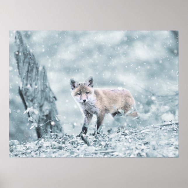 Poster Le club Fox dans la neige (Devant)
