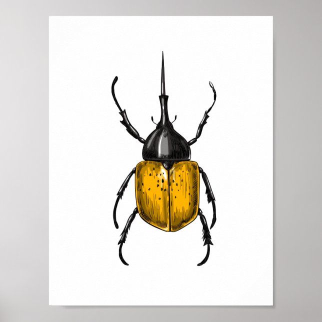 Poster Le coléoptère d'Hercules (Devant)
