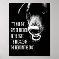 Le combat dans l'affiche du chien