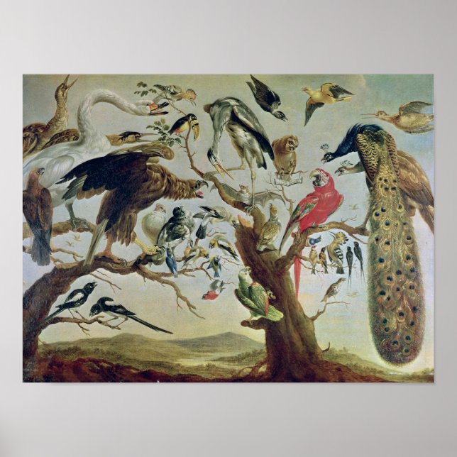 Poster Le concert des oiseaux (Devant)