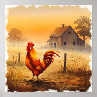 Poster Le coq dans la ferme légère du matin