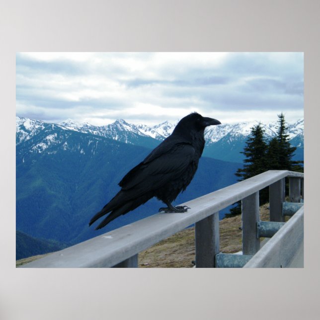 Poster Le Corbeau (Devant)