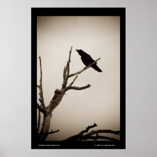 Poster Le Corbeau