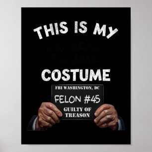 Poster Le costume d'Halloween de la prison Donald Trump