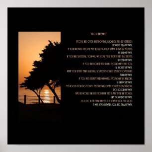 Poster Le coucher du soleil d'arbre et d'océan le font de