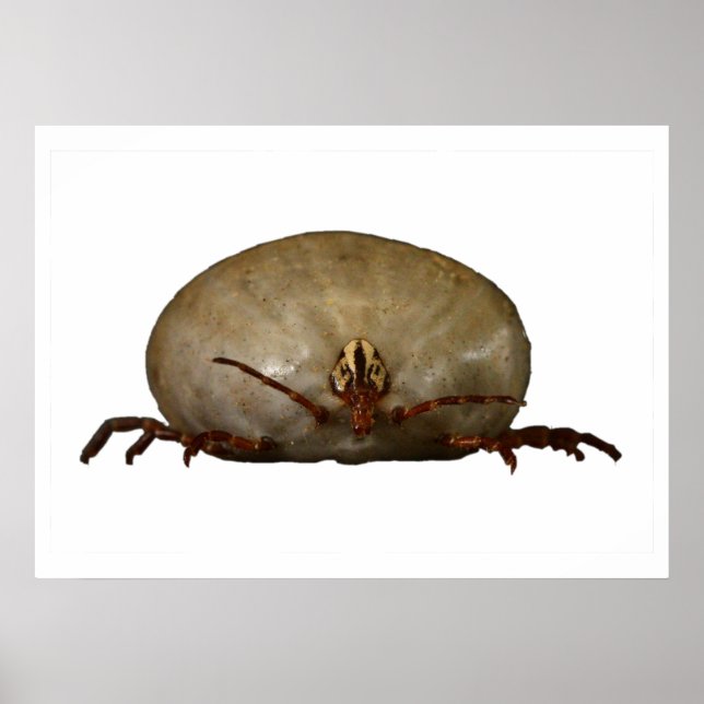 Poster Le coup (Devant)