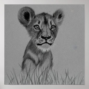 Poster Le Coup de la Litter