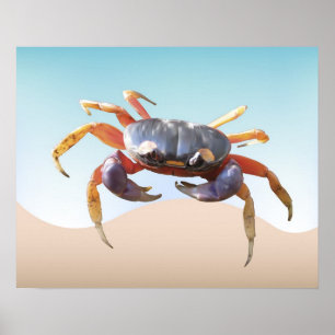Poster Le crabe sur la plage