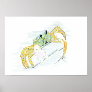 Poster Le crabe sur la plage
