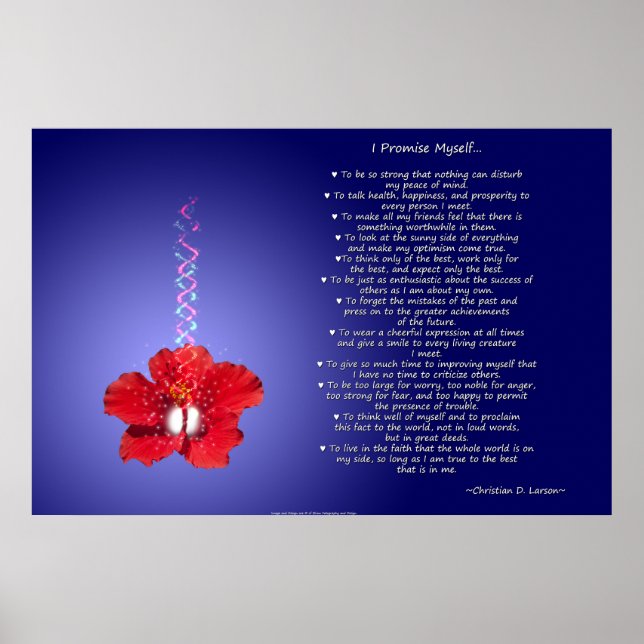 Poster Le credo de l'optimiste : Hibiscus inspirant (Devant)