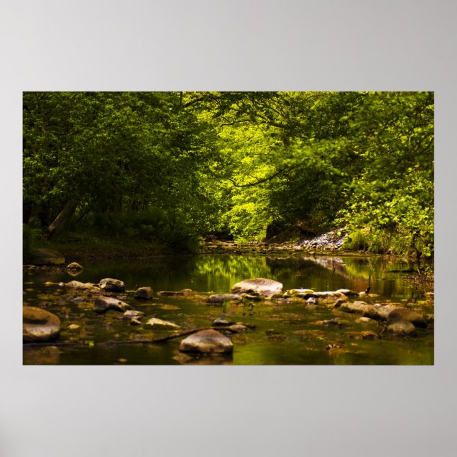 Poster Le Creek (Devant)