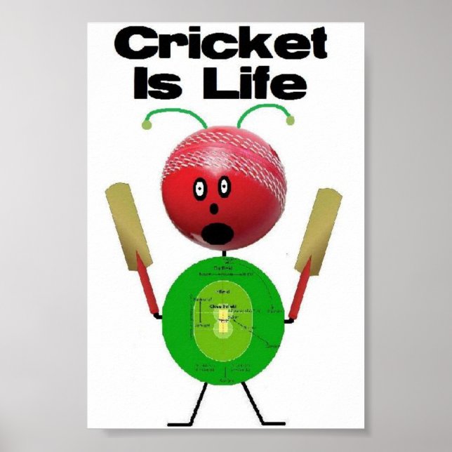 Poster Le cricket est la vie (Devant)