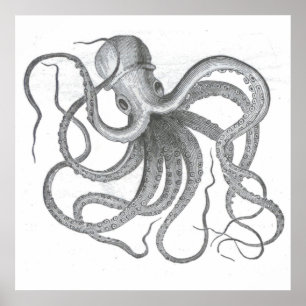 Poster Le cru nautique de poulpe de steampunk kraken le