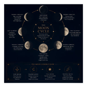 Poster Le cycle de la Lune et signification des phases