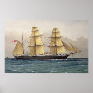 Poster Le cygne sauvage, 1906