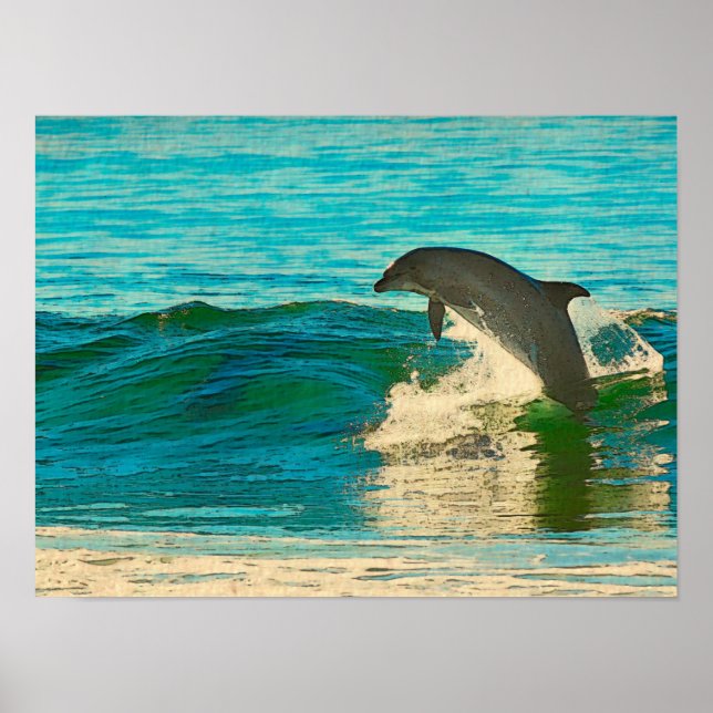 Poster Le dauphin est mon esprit animal (Devant)