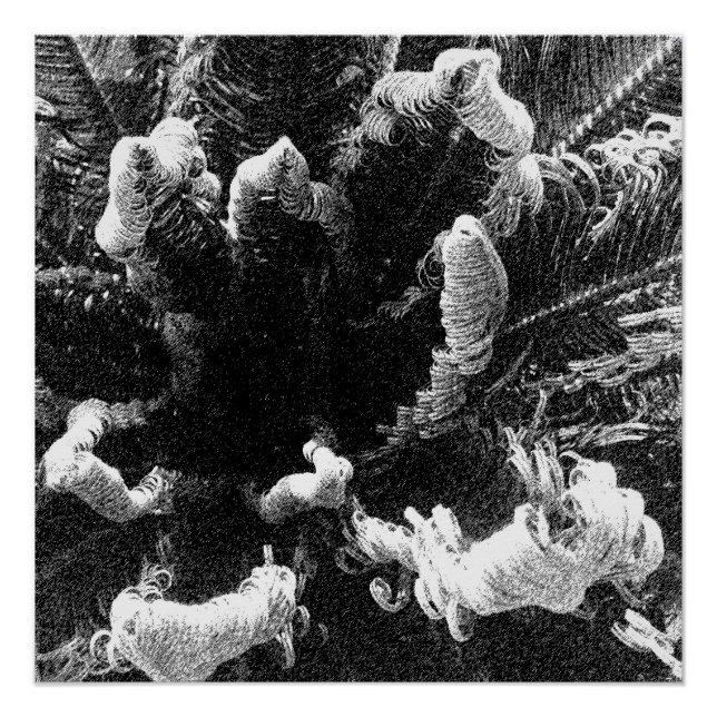 Poster Le début (Devant)