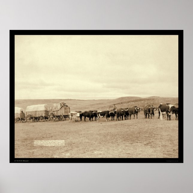 Poster Le Dernier Grand Taureau SD 1890 (Devant)