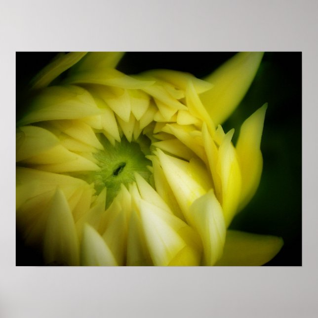 Poster Le déroulement (Devant)